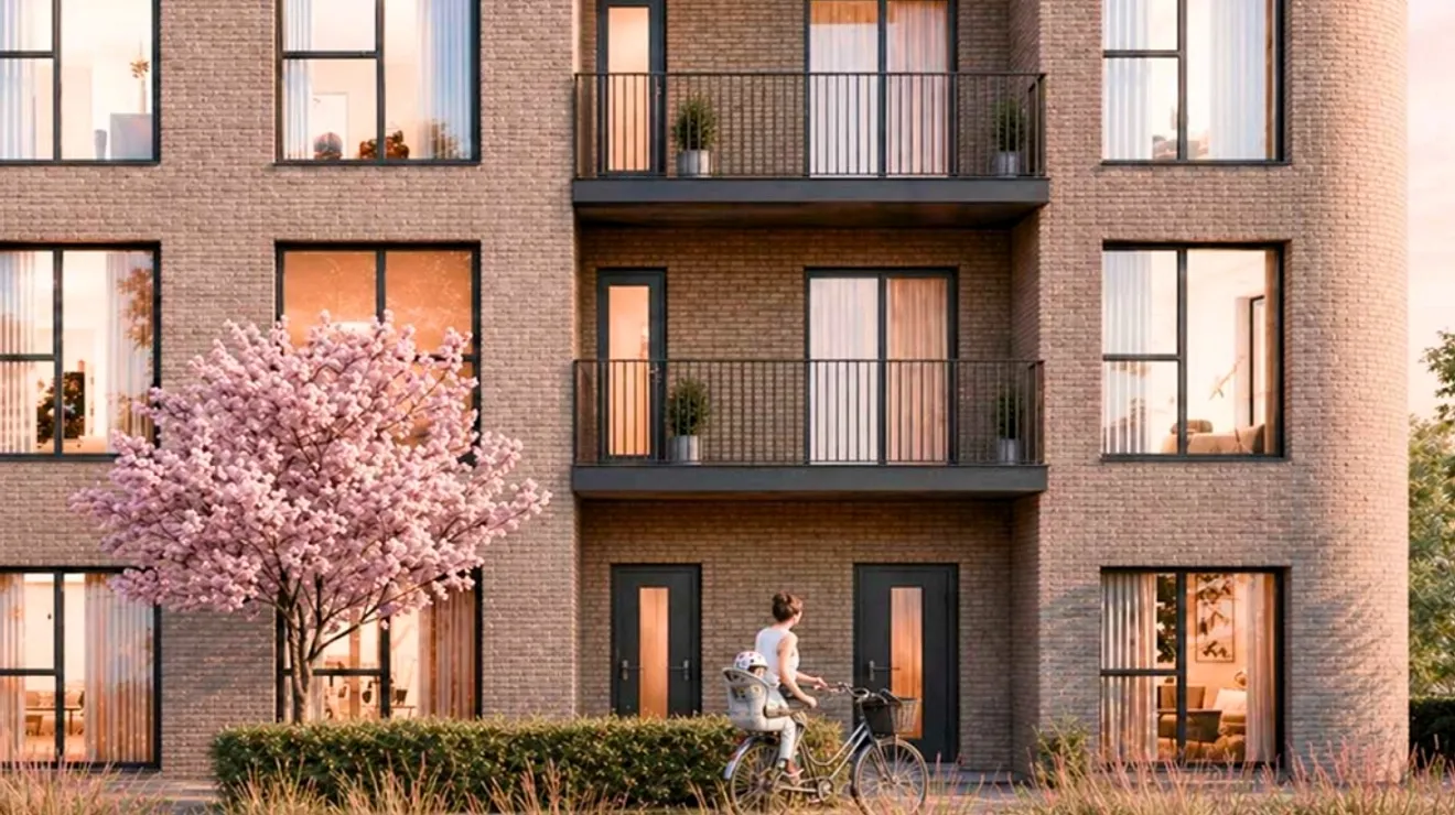 Velocity - Rothmore Property