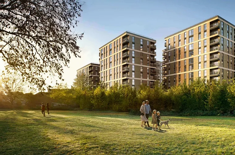 Eden Grove - Rothmore Property