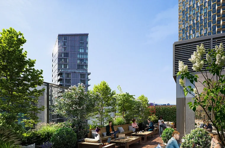 W Residences - Rothmore Property