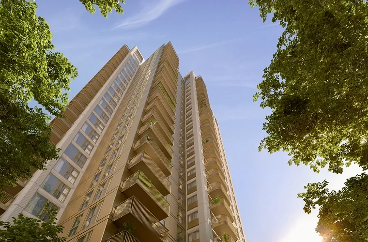 The Wilderly - Rothmore Property