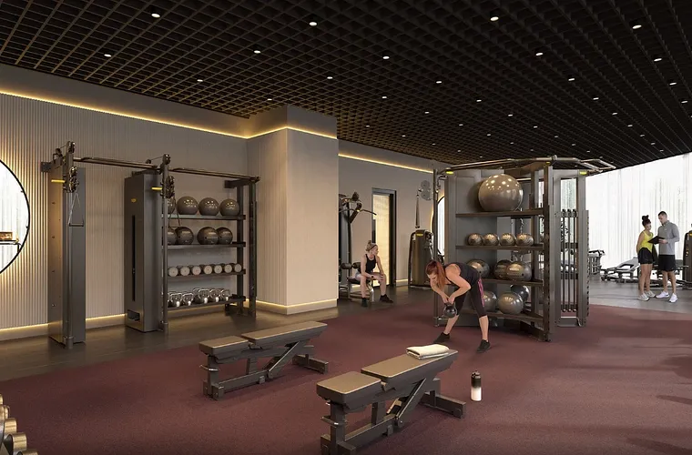 Contour - Rothmore Property