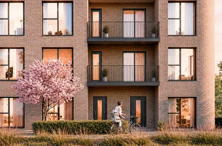 Velocity - Rothmore Property